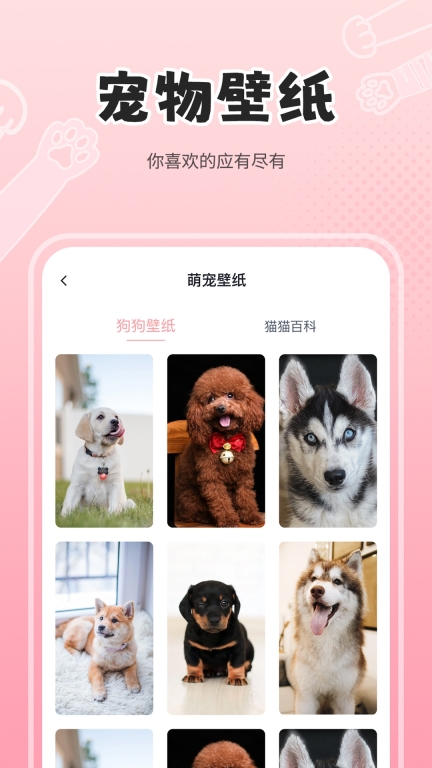 人狗猫交流器图2