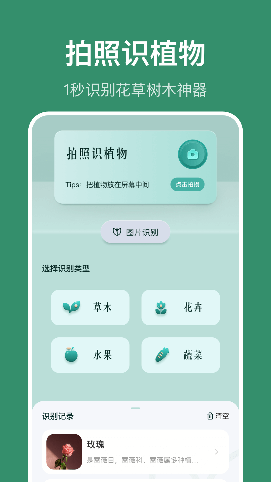 识花草-识植物图1