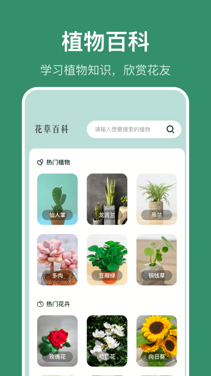 识花草-识植物图2