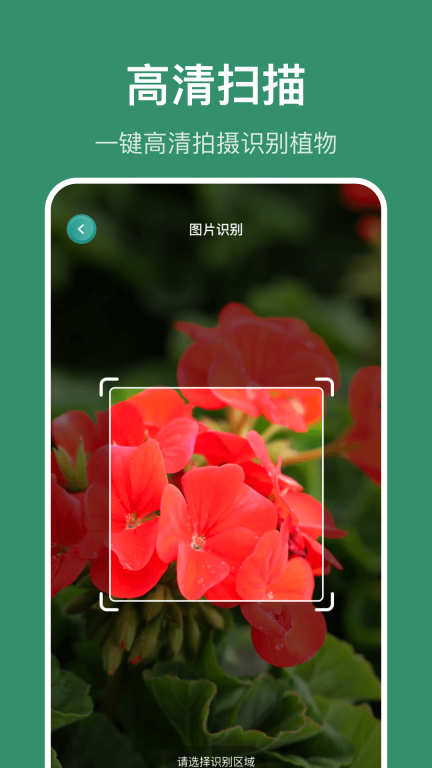 识花草-识植物图3
