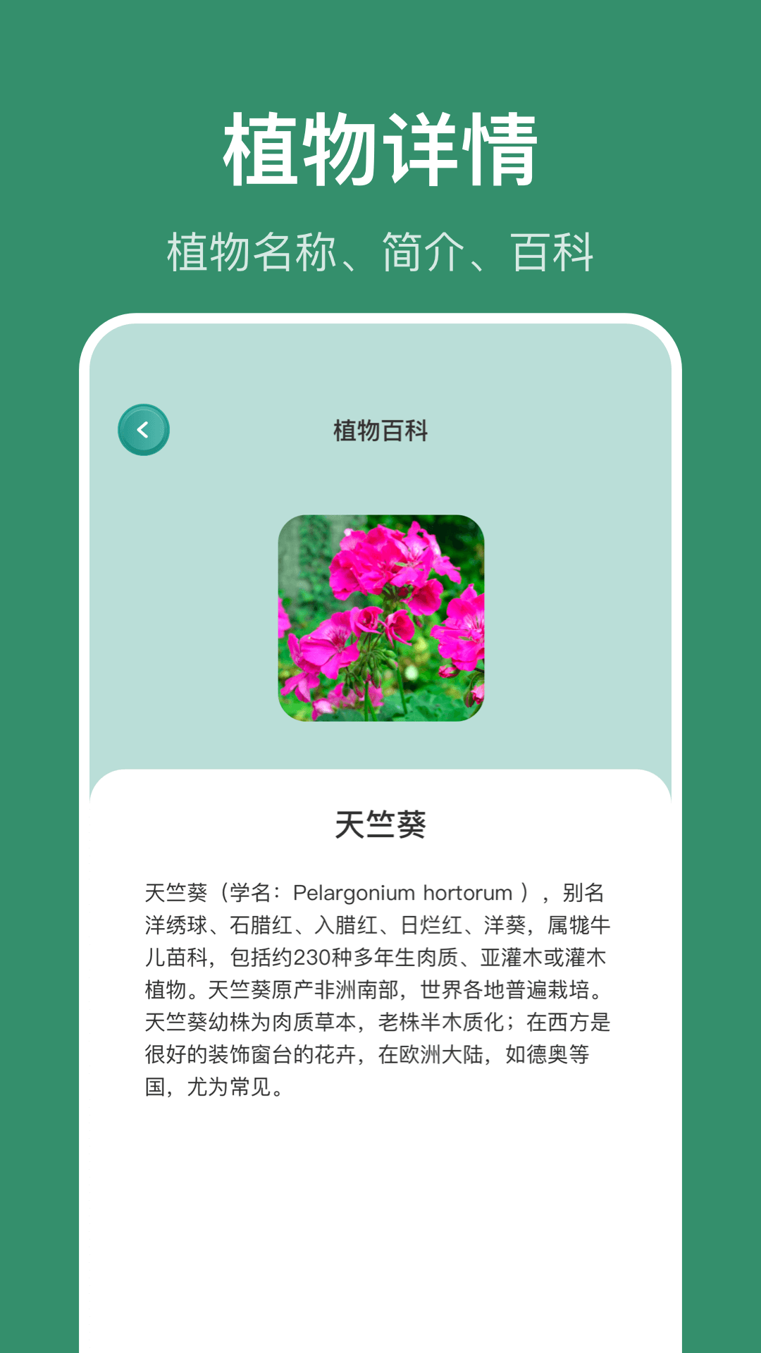 识花草-识植物图4