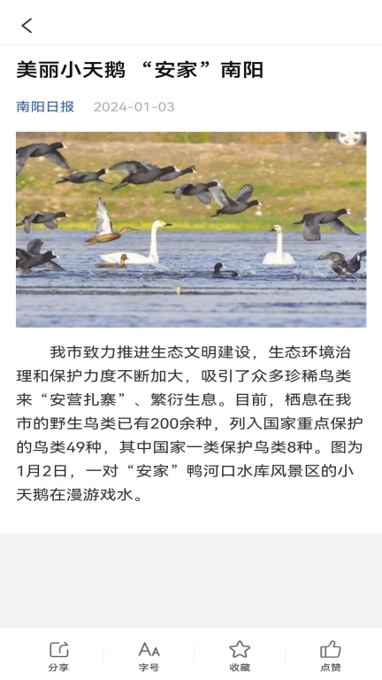 南阳政务图4