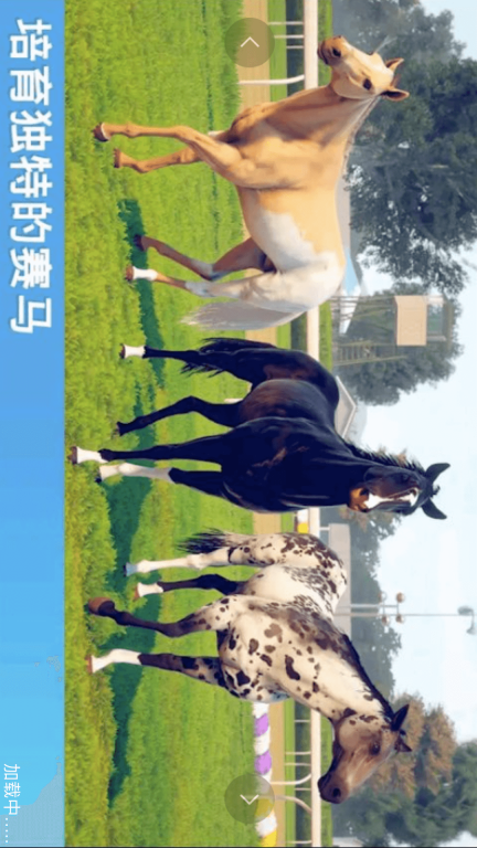 赛马大师3D-马匹竞技竞标赛图1