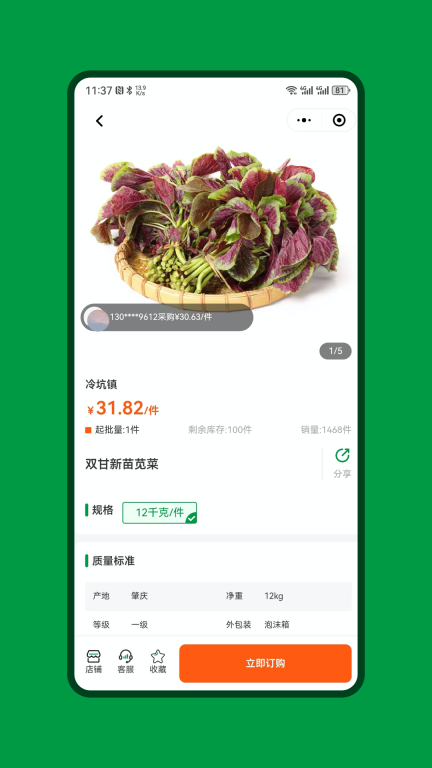 绿色快线图4
