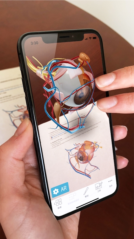人体解剖 3d图4