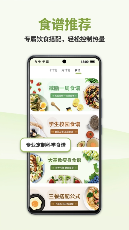 懒人轻断食-不花钱不节食减肥图2