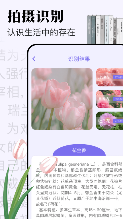 米禾图3