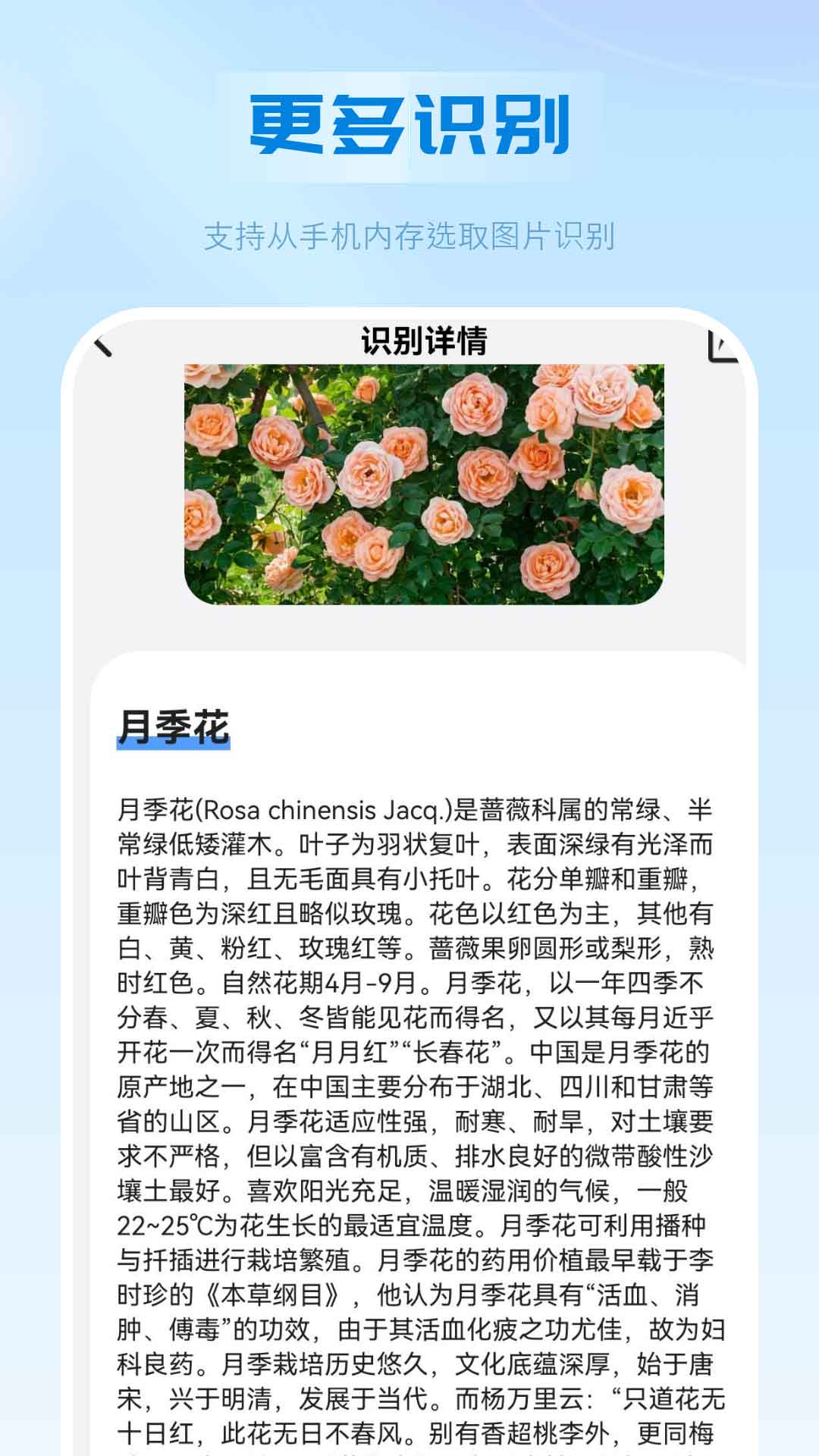 万能扫描识别王图4