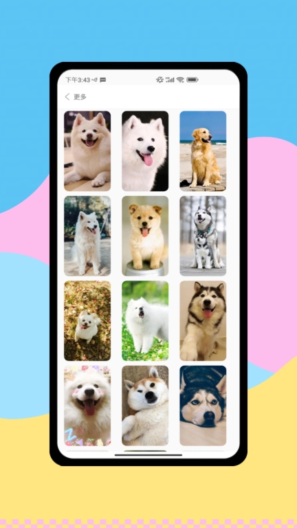 狗语图4
