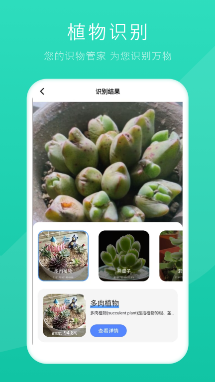 拍照识别图3