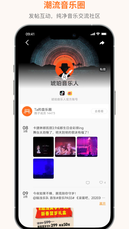 琥珀图5