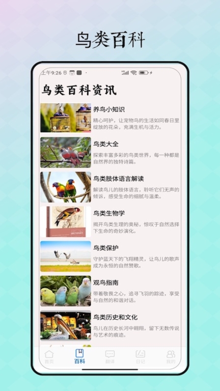 鸟语翻译图2