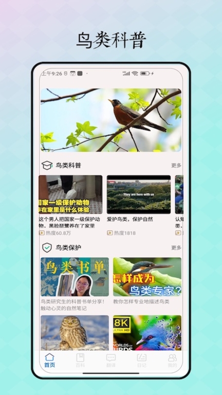 鸟语翻译图4