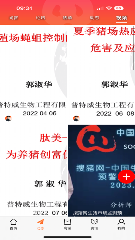 金猪图3