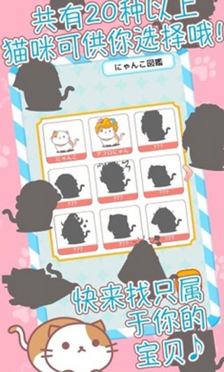 爆炸头猫(AfroCat)(3)