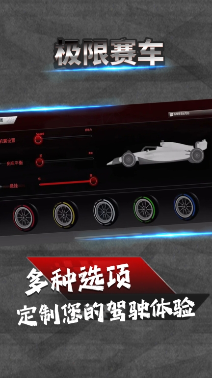 极限赛车-F1赛车模拟图1