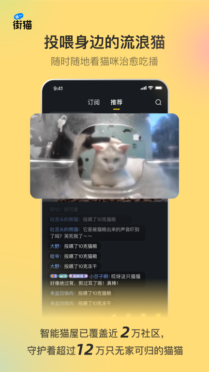 街猫图1