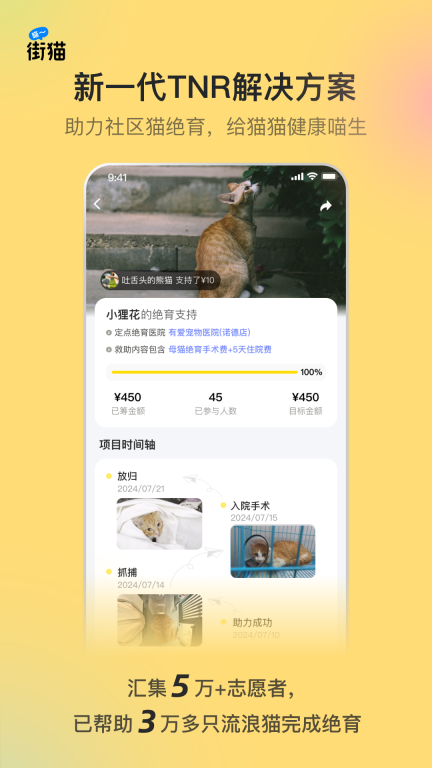 街猫图2