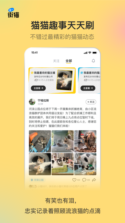 街猫图5