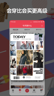 发光公社图4
