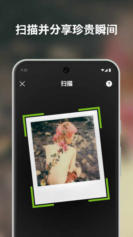 宝丽来图2