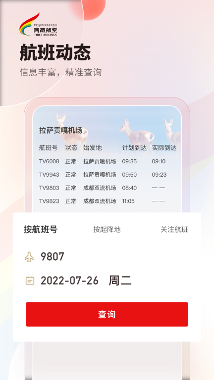 西藏航空图3