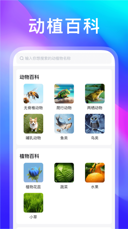 动物世界-动植物百科全书图1