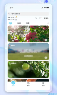 魔镜慧眼图1