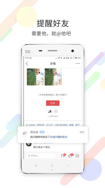 茶竹永川网图3