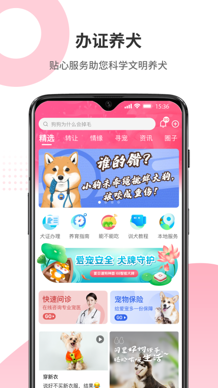 68宠物图2