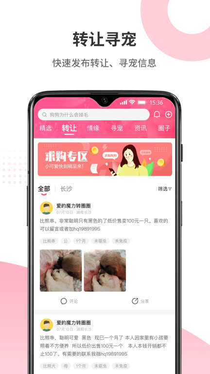 68宠物图3