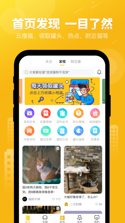 友猫图1