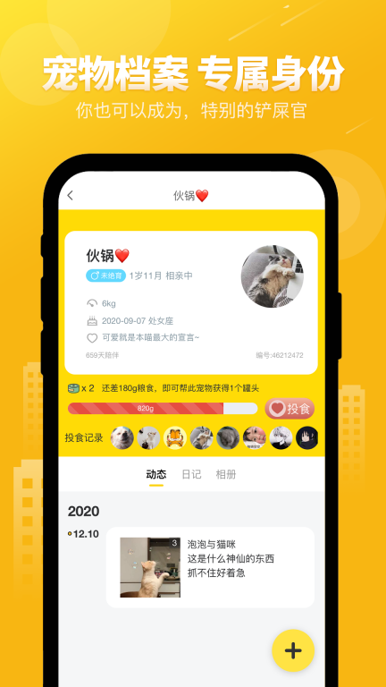 友猫图4