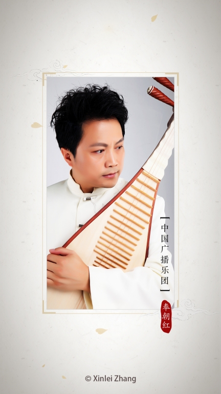 琵琶调音器图1
