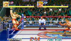 摔跤霸王手机版(4)