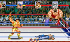 摔跤霸王手机版(2)