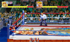 摔跤霸王手机版(3)