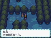 口袋妖怪心灵之金手机版(4)