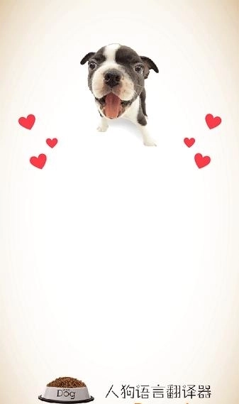 人狗语言翻译器