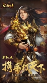 龙之传奇手机版(3)