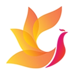 影视工场手机版