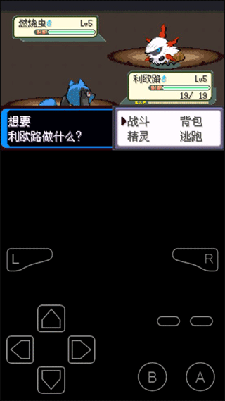 口袋妖怪决心汉化版最新版图3