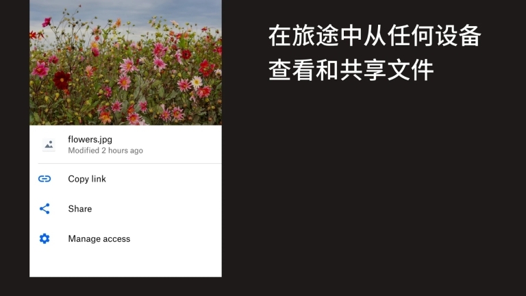 Dropbox安卓版图3