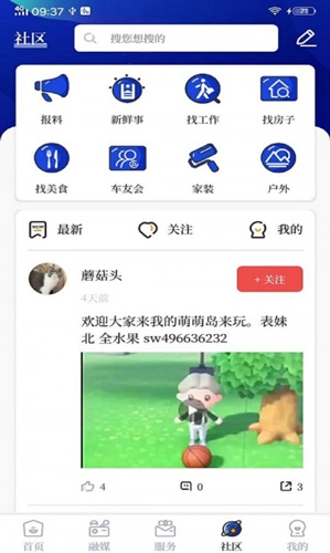 掌心长兴