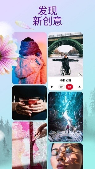 Pinterest正版图2
