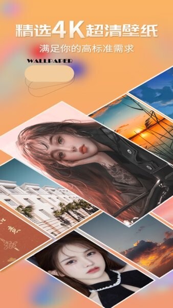 超高清壁纸大师手机版图3