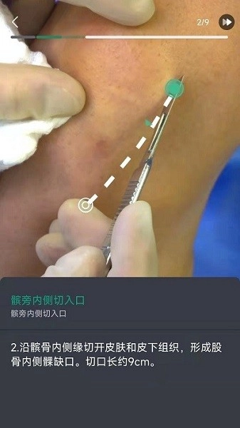 万康人体解剖图3