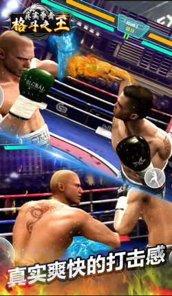 真实拳击格斗之王(2)