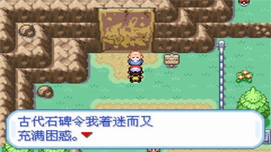 口袋妖怪盖亚图1