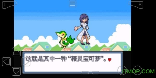 口袋妖怪白金光2金手指图3